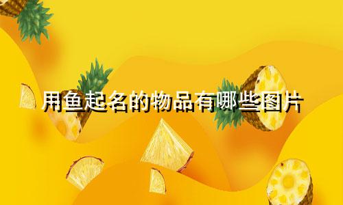 用鱼起名的物品有哪些图片