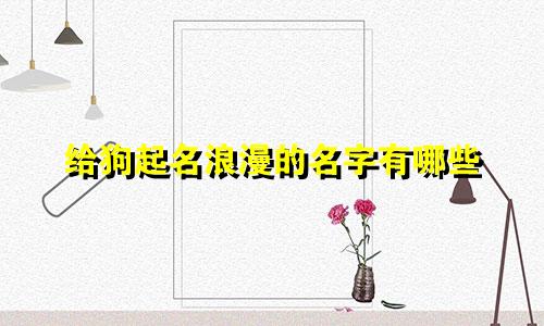 给狗起名浪漫的名字有哪些