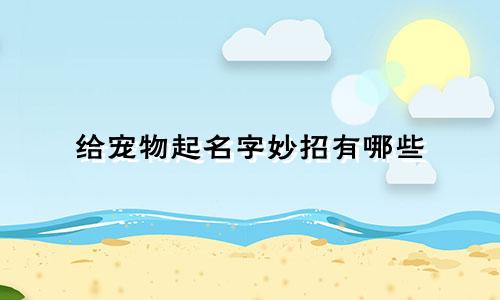 给宠物起名字妙招有哪些
