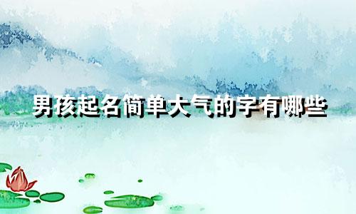 男孩起名简单大气的字有哪些