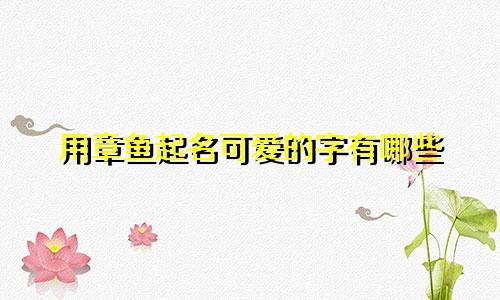 用章鱼起名可爱的字有哪些