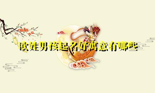 欧姓男孩起名好寓意有哪些