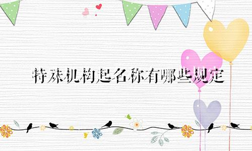 特殊机构起名称有哪些规定