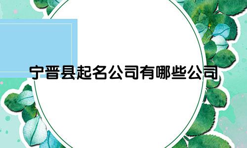宁晋县起名公司有哪些公司