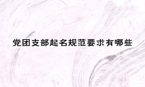 党团支部起名规范要求有哪些