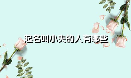 起名叫小夫的人有哪些