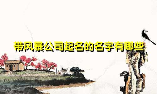 带风暴公司起名的名字有哪些