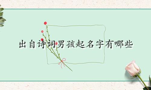 出自诗词男孩起名字有哪些