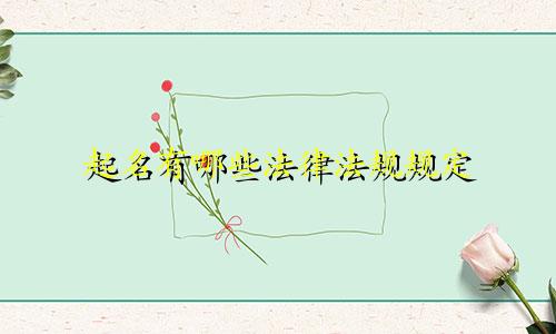 起名有哪些法律法规规定