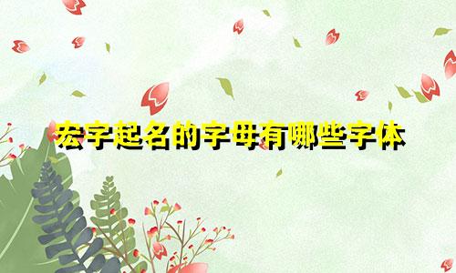 宏字起名的字母有哪些字体