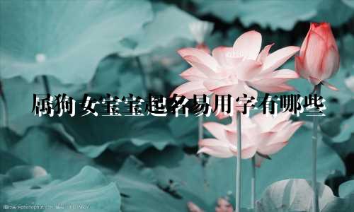 属狗女宝宝起名易用字有哪些