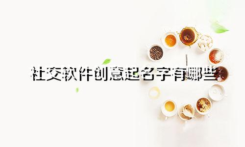 社交软件创意起名字有哪些