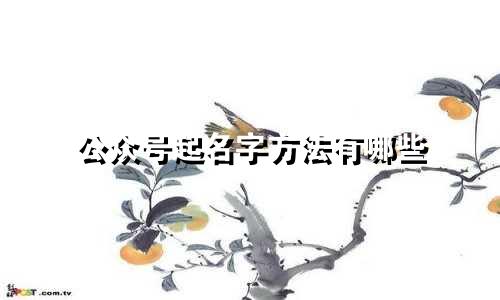 公众号起名字方法有哪些