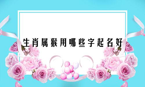生肖属猴用哪些字起名好