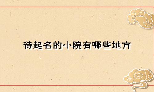 待起名的小院有哪些地方