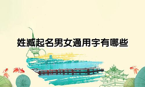 姓臧起名男女通用字有哪些