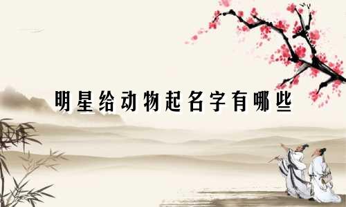 明星给动物起名字有哪些