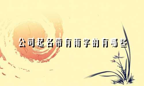 公司起名带有雨字的有哪些