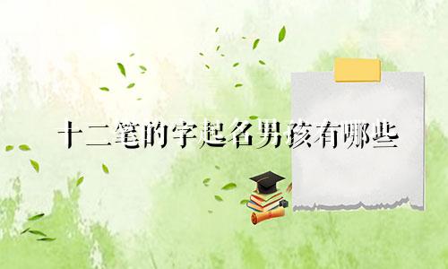 十二笔的字起名男孩有哪些