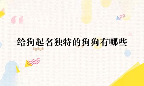 给狗起名独特的狗狗有哪些
