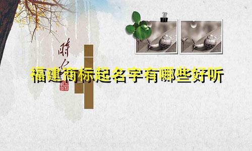 福建商标起名字有哪些好听