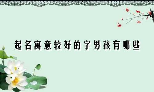 起名寓意较好的字男孩有哪些