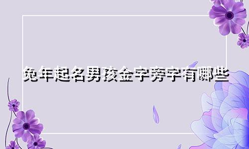 兔年起名男孩金字旁字有哪些