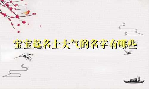 宝宝起名土大气的名字有哪些
