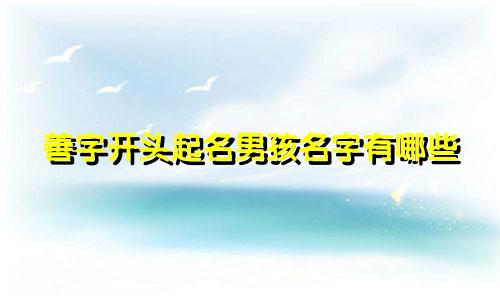 善字开头起名男孩名字有哪些