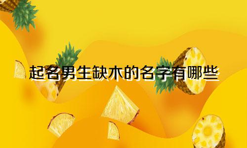 起名男生缺木的名字有哪些