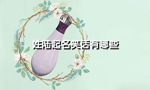 姓陆起名笑话有哪些