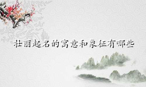 壮丽起名的寓意和象征有哪些