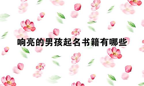 响亮的男孩起名书籍有哪些