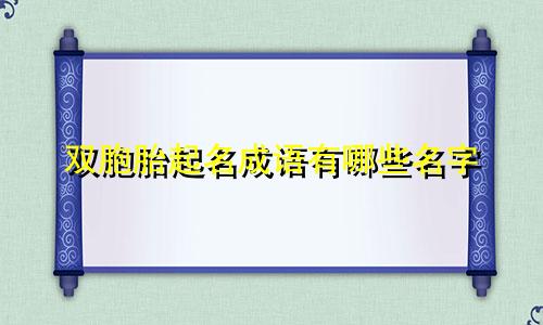 双胞胎起名成语有哪些名字