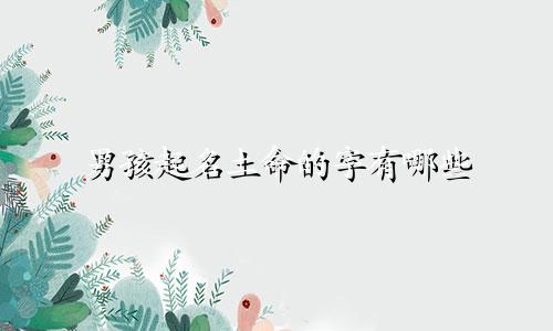 男孩起名土命的字有哪些