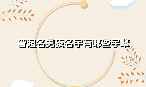 曾起名男孩名字有哪些字辈