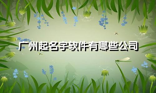 广州起名字软件有哪些公司