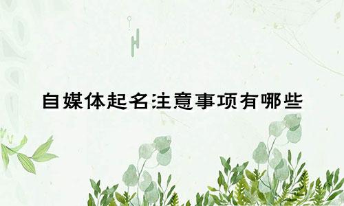 自媒体起名注意事项有哪些