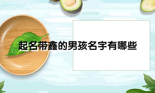起名带鑫的男孩名字有哪些