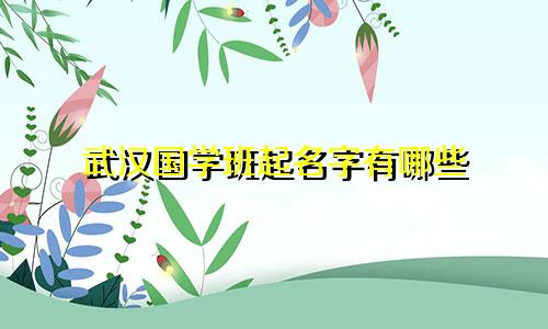 武汉国学班起名字有哪些