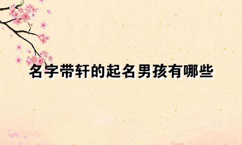 名字带轩的起名男孩有哪些