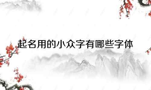 起名用的小众字有哪些字体