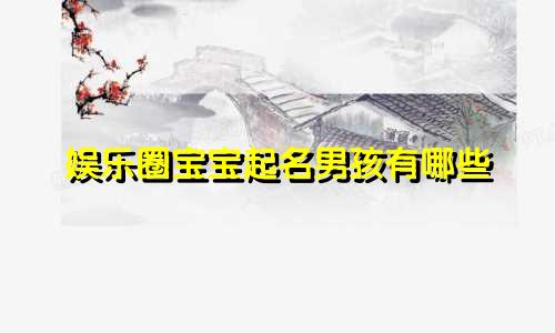 娱乐圈宝宝起名男孩有哪些