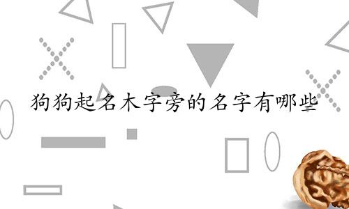 狗狗起名木字旁的名字有哪些
