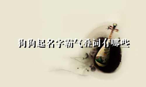 狗狗起名字霸气叠词有哪些
