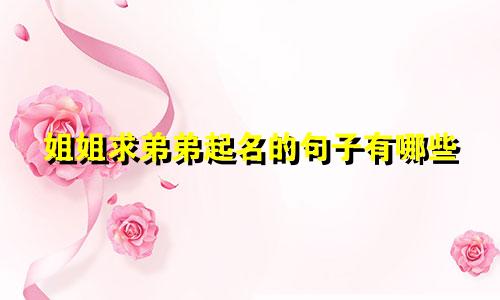 姐姐求弟弟起名的句子有哪些