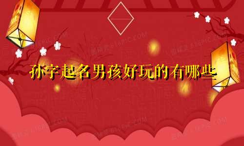 孙字起名男孩好玩的有哪些