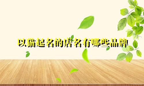 以猫起名的店名有哪些品牌