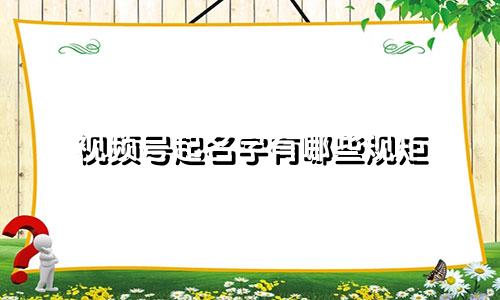 视频号起名字有哪些规矩