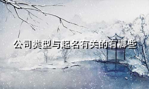 公司类型与起名有关的有哪些